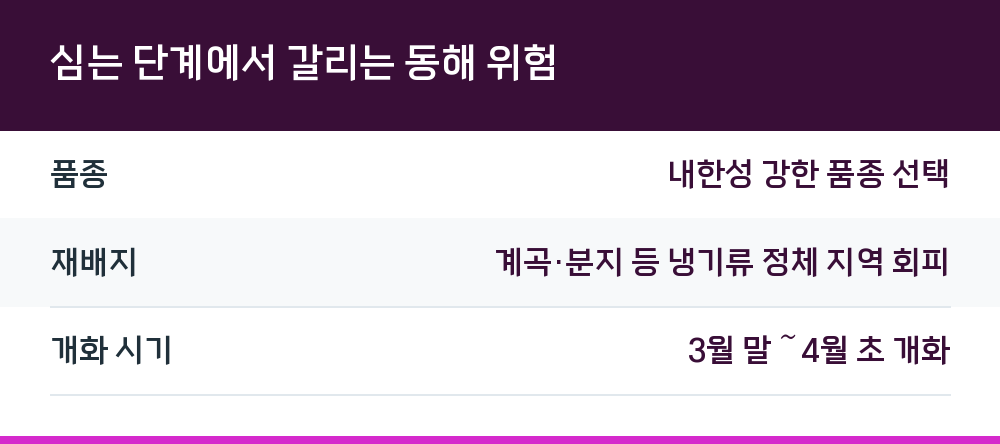 심는 단계에서 갈리는 동해 위험