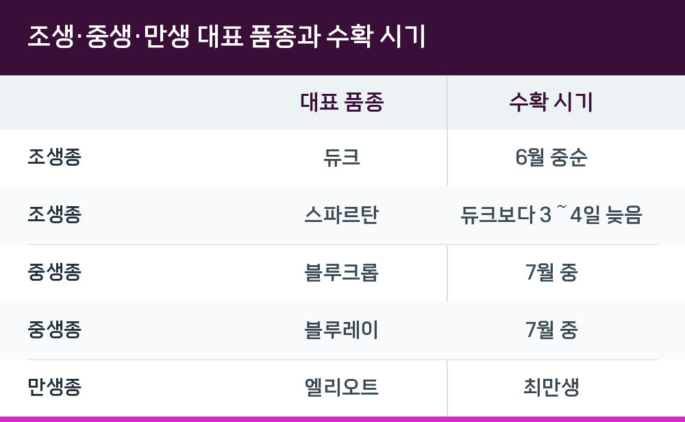 조생·중생·만생 대표 품종과 수확 시기