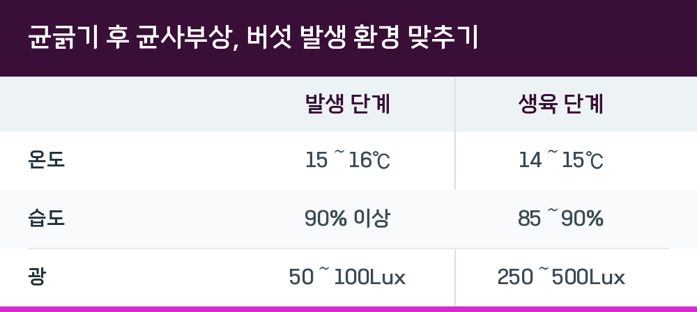 균긁기 후 균사부상, 버섯 발생 환경 맞추기