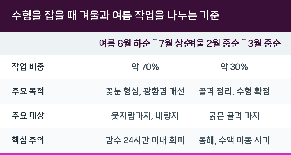수형을 잡을 때 겨울과 여름 작업을 나누는 기준
