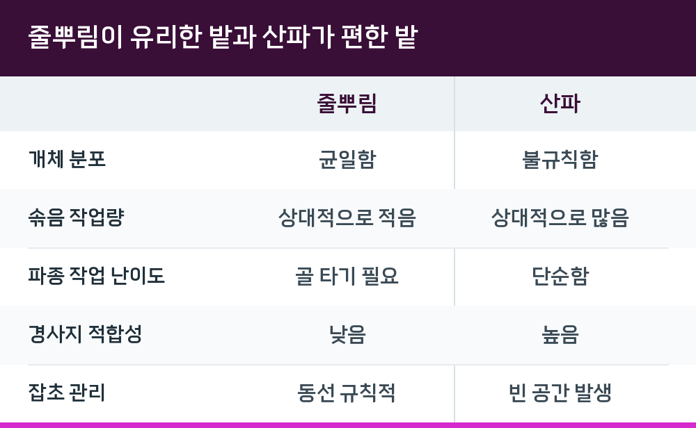줄뿌림이 유리한 밭과 산파가 편한 밭