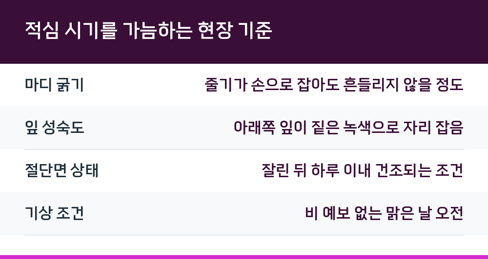 적심 시기를 가늠하는 현장 기준