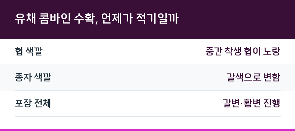 유채 콤바인 수확, 언제가 적기일까