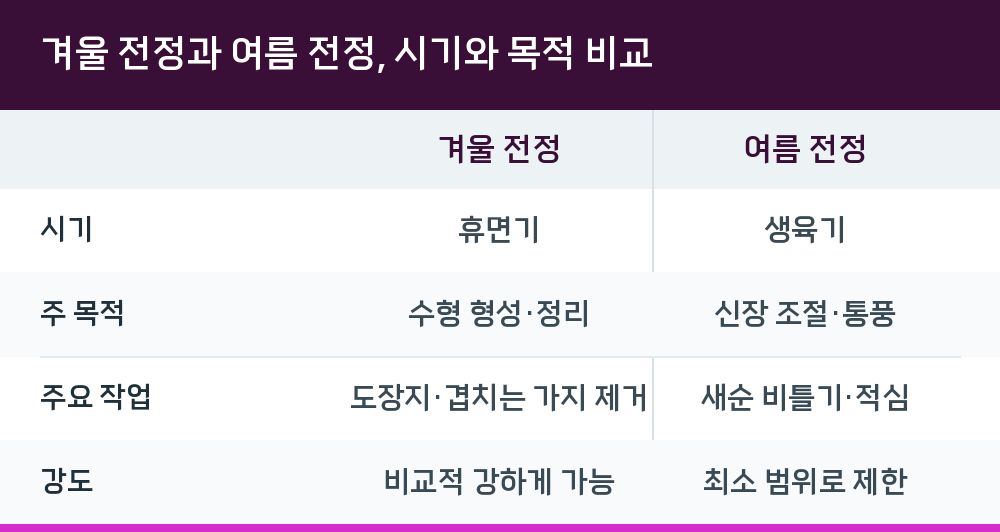 겨울 전정과 여름 전정, 시기와 목적 비교