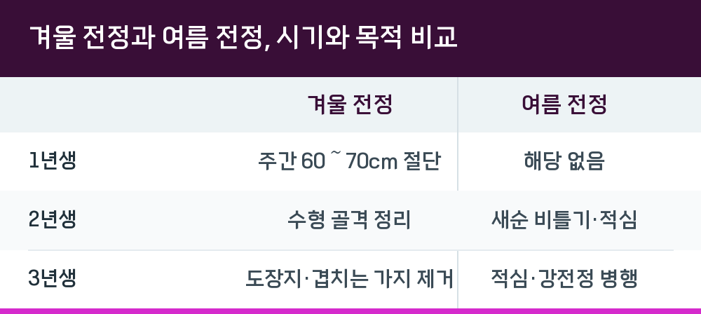 겨울 전정과 여름 전정, 시기와 목적 비교