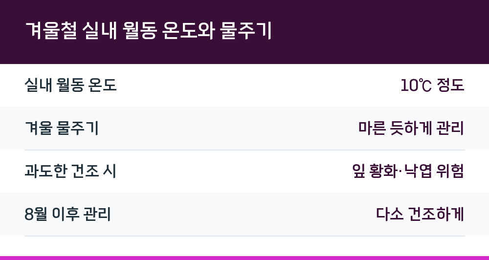 겨울철 실내 월동 온도와 물주기