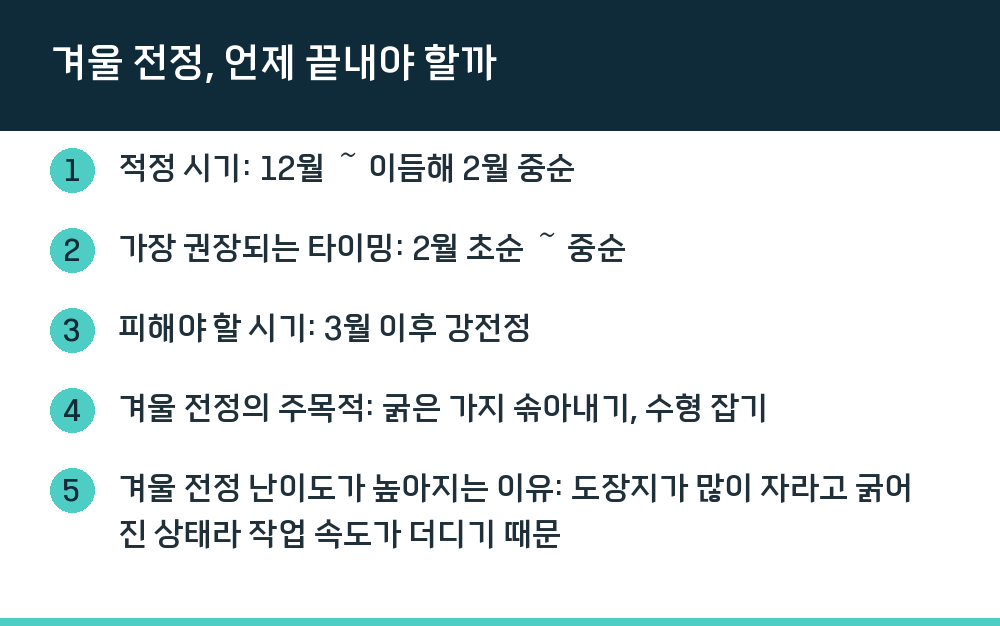 겨울 전정, 언제 끝내야 할까