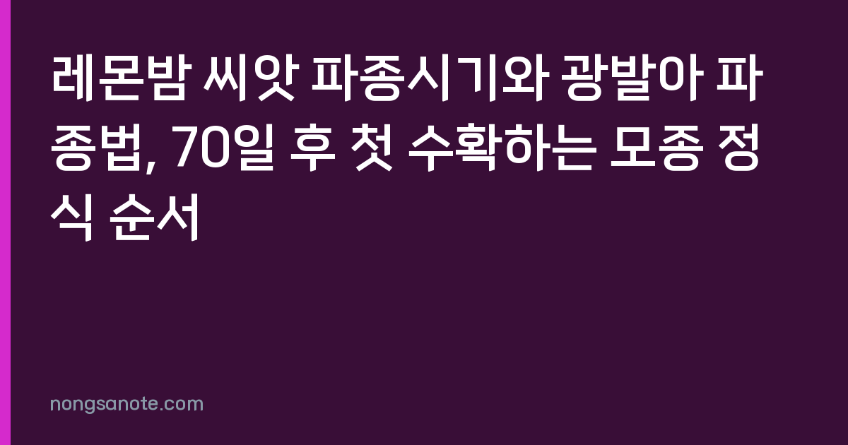 레몬밤 씨앗 파종시기와 광발아 파종법, 70일 후 첫 수확하는 모종 정식 순서