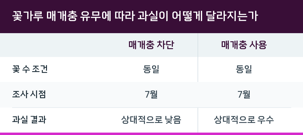 꽃가루 매개충 유무에 따라 과실이 어떻게 달라지는가
