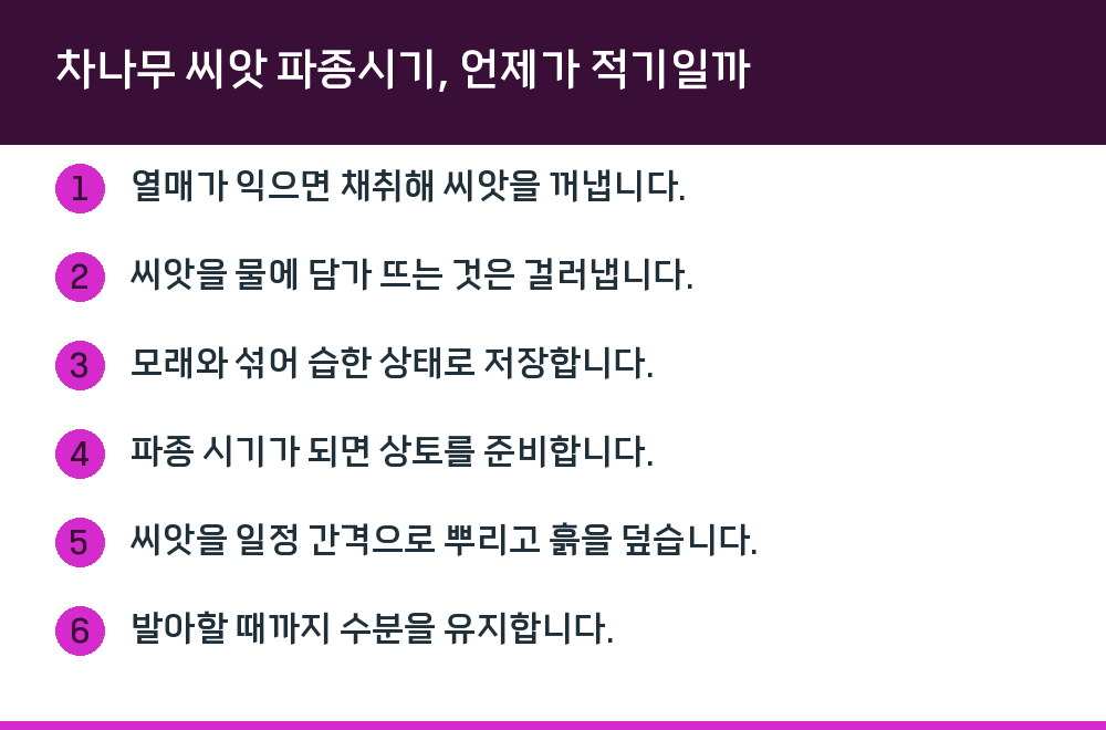 차나무 씨앗 파종시기, 언제가 적기일까