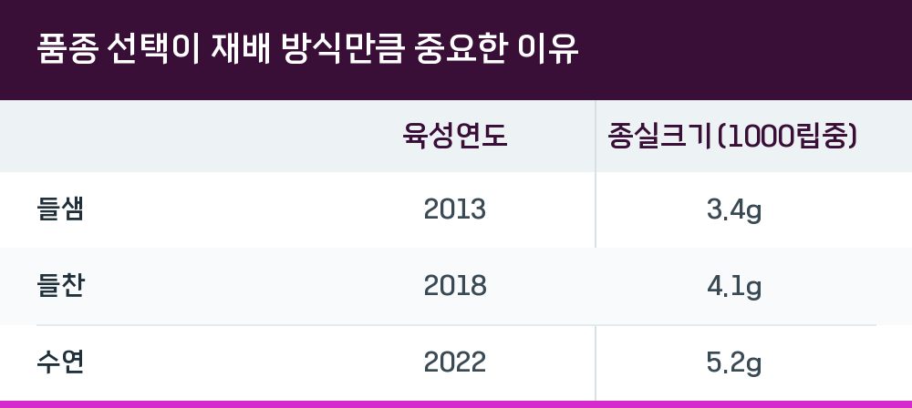 품종 선택이 재배 방식만큼 중요한 이유