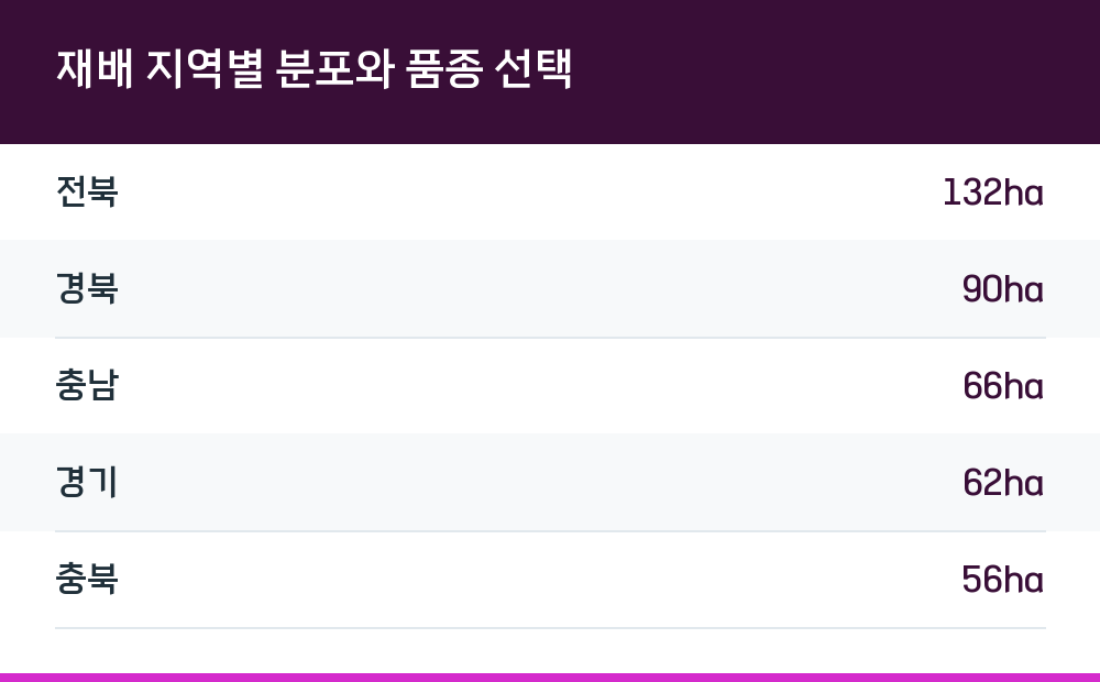 재배 지역별 분포와 품종 선택