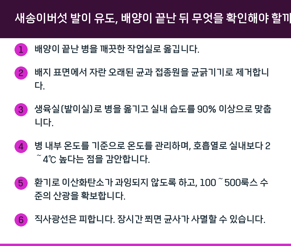 새송이버섯 발이 유도, 배양이 끝난 뒤 무엇을 확인해야 할까