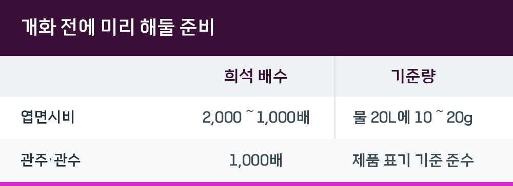 개화 전에 미리 해둘 준비