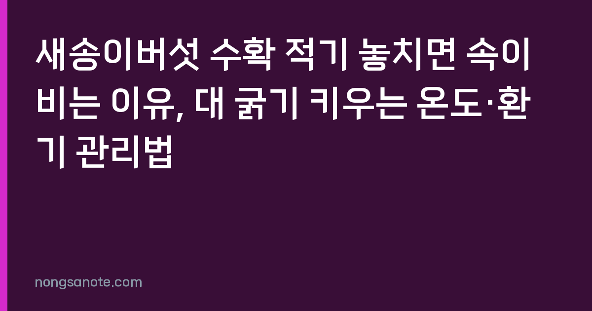 새송이버섯 수확 적기 놓치면 속이 비는 이유, 대 굵기 키우는 온도·환기 관리법