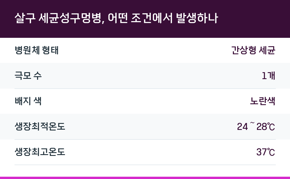 살구 세균성구멍병, 어떤 조건에서 발생하나