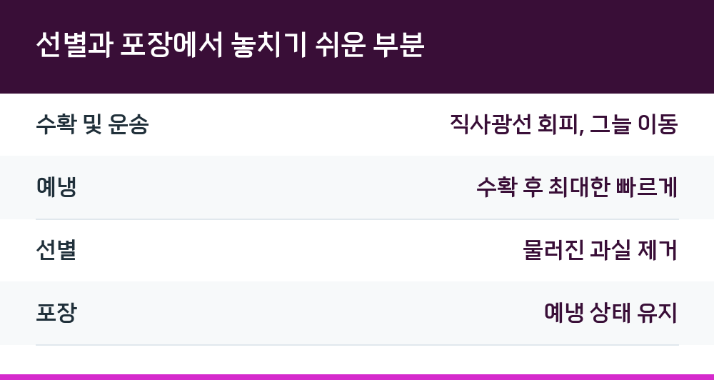 선별과 포장에서 놓치기 쉬운 부분