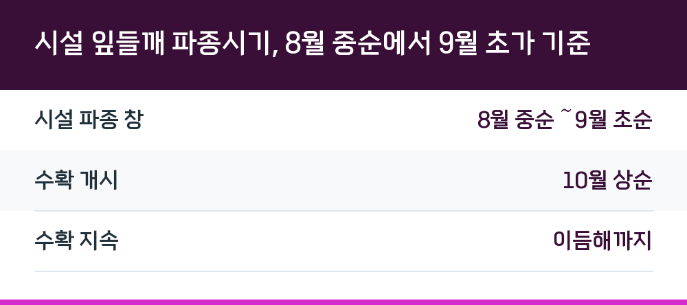 시설 잎들깨 파종시기, 8월 중순에서 9월 초가 기준