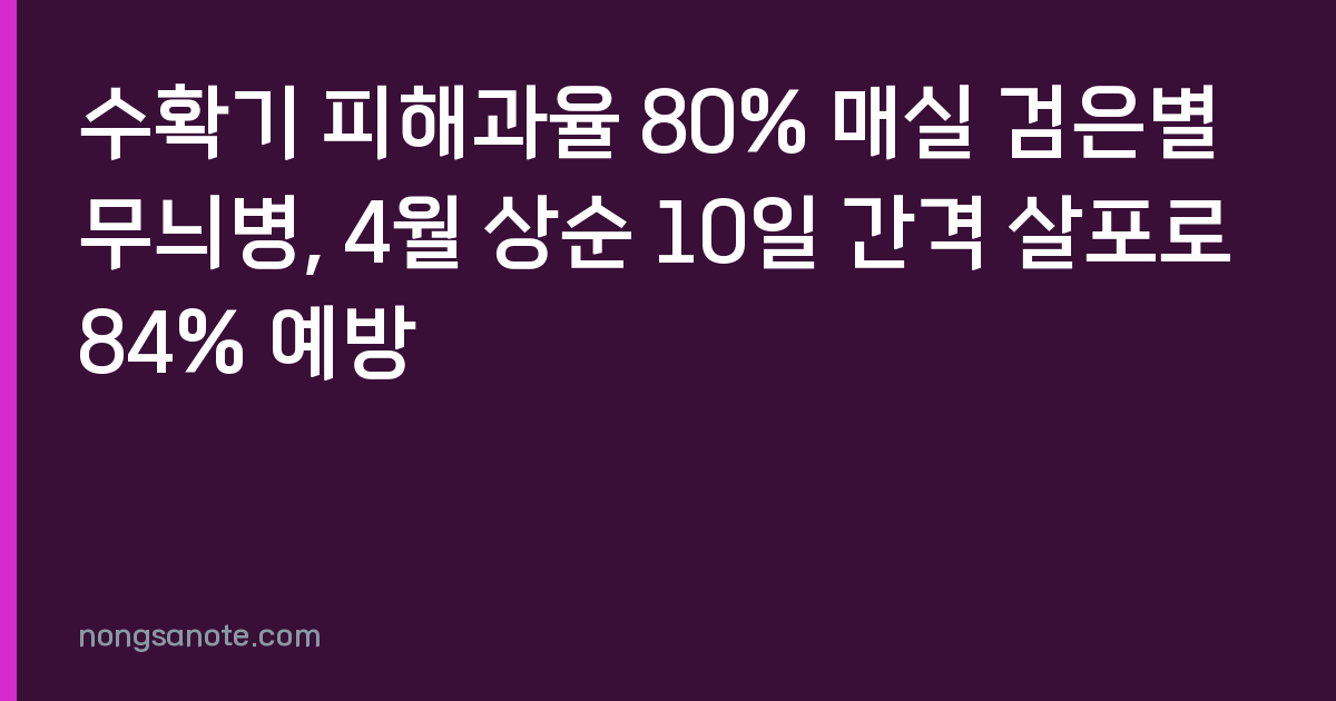 수확기 피해과율 80% 매실 검은별무늬병, 4월 상순 10일 간격 살포로 84% 예방