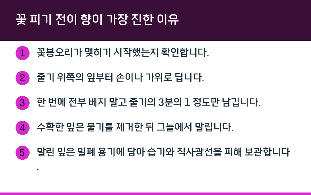 꽃 피기 전이 향이 가장 진한 이유