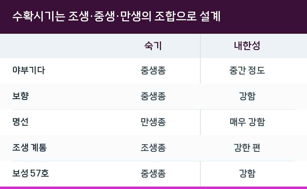 수확시기는 조생·중생·만생의 조합으로 설계