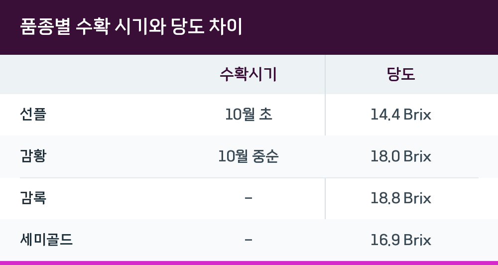 품종별 수확 시기와 당도 차이