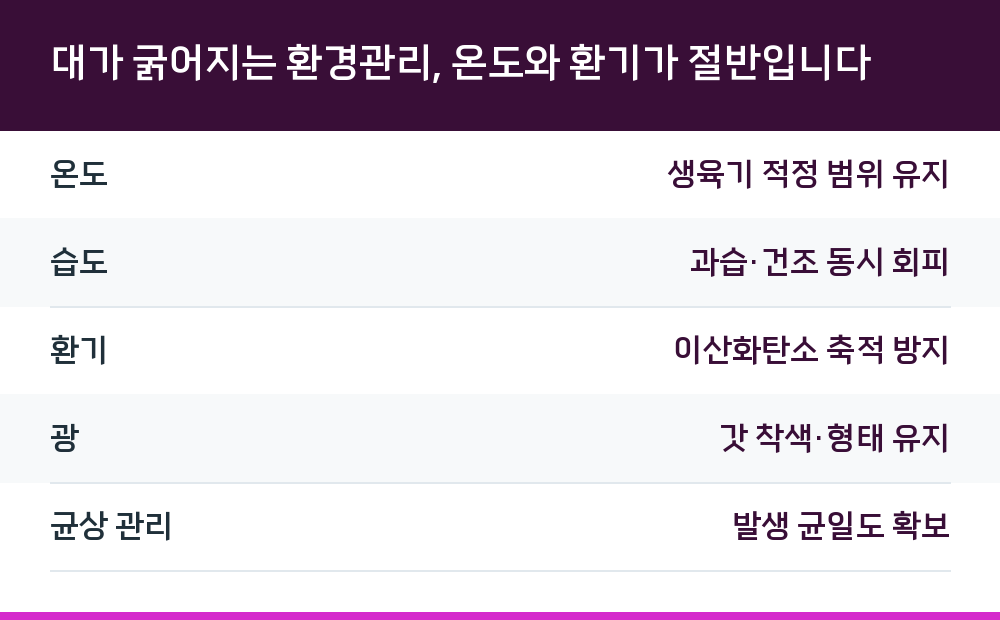 대가 굵어지는 환경관리, 온도와 환기가 절반입니다