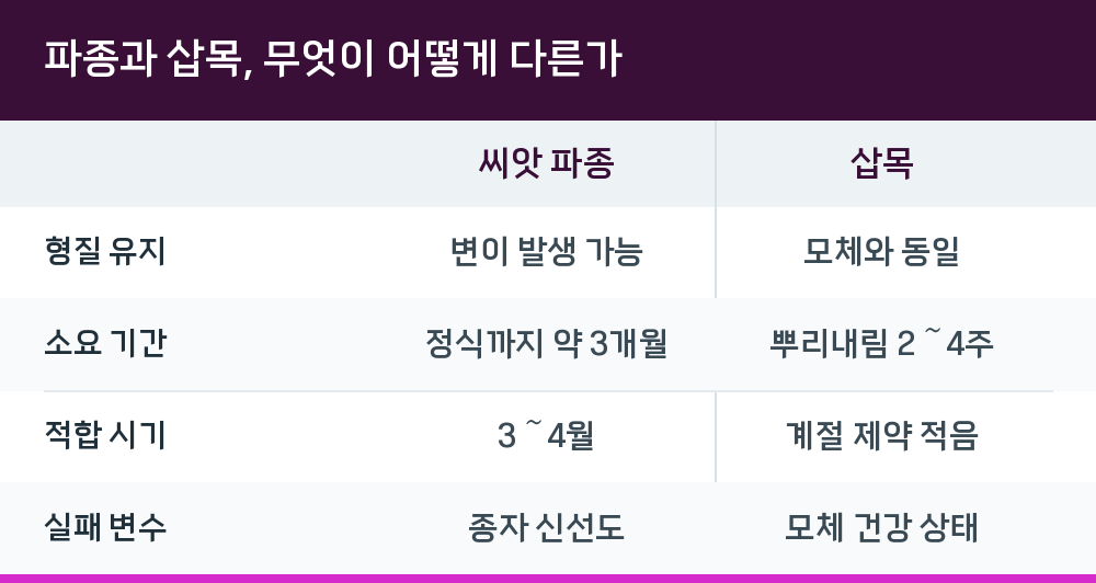 파종과 삽목, 무엇이 어떻게 다른가