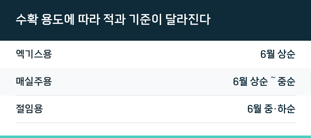 수확 용도에 따라 적과 기준이 달라진다