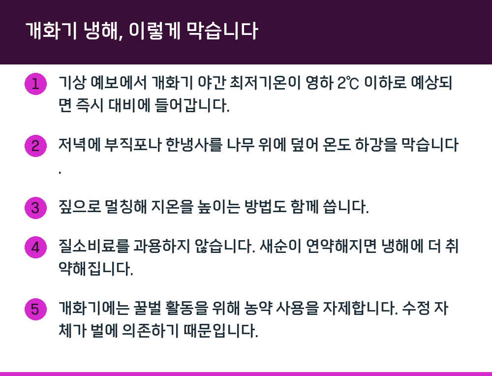 개화기 냉해, 이렇게 막습니다