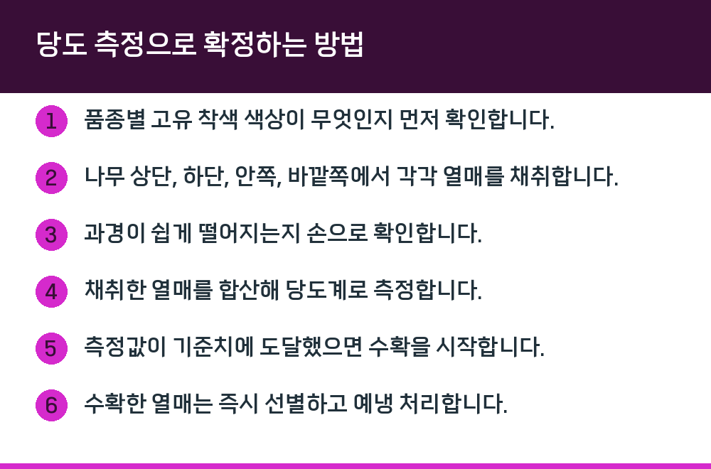 당도 측정으로 확정하는 방법