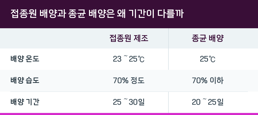 접종원 배양과 종균 배양은 왜 기간이 다를까