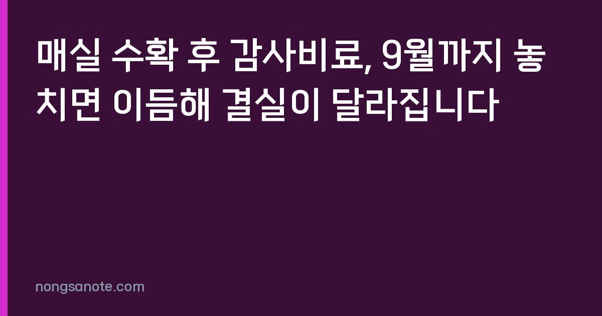 매실 수확 후 감사비료, 9월까지 놓치면 이듬해 결실이 달라집니다