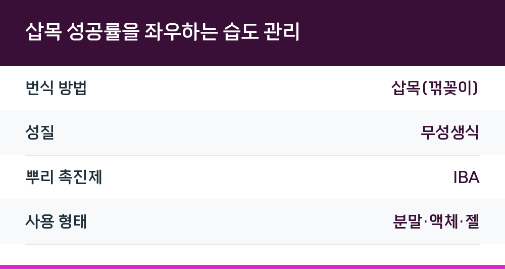 삽목 성공률을 좌우하는 습도 관리