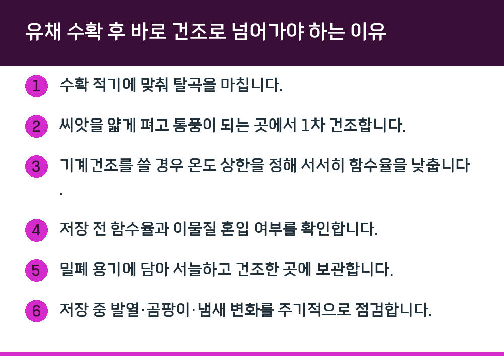 유채 수확 후 바로 건조로 넘어가야 하는 이유