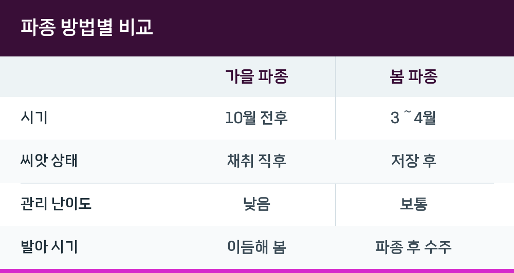 파종 방법별 비교