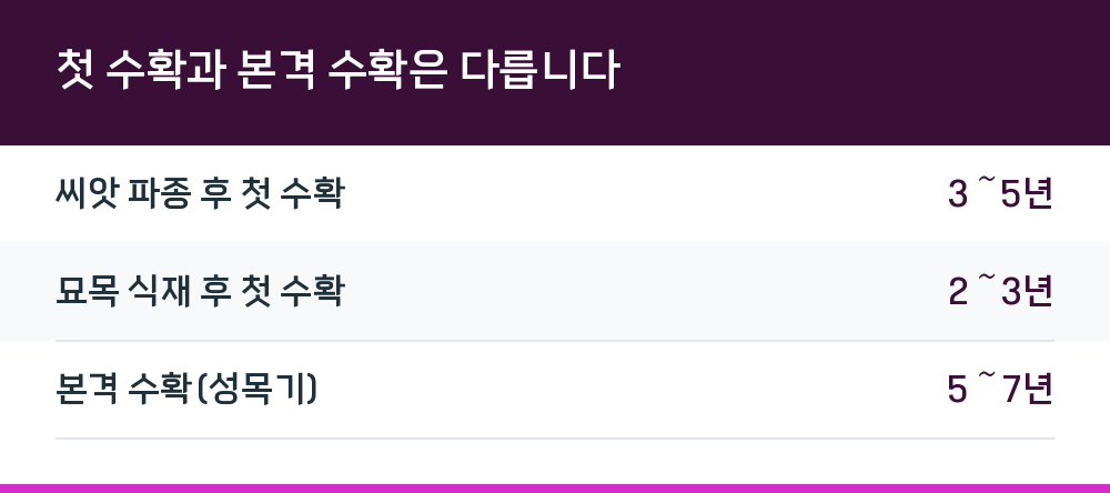 첫 수확과 본격 수확은 다릅니다