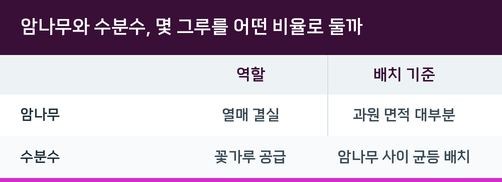 암나무와 수분수, 몇 그루를 어떤 비율로 둘까