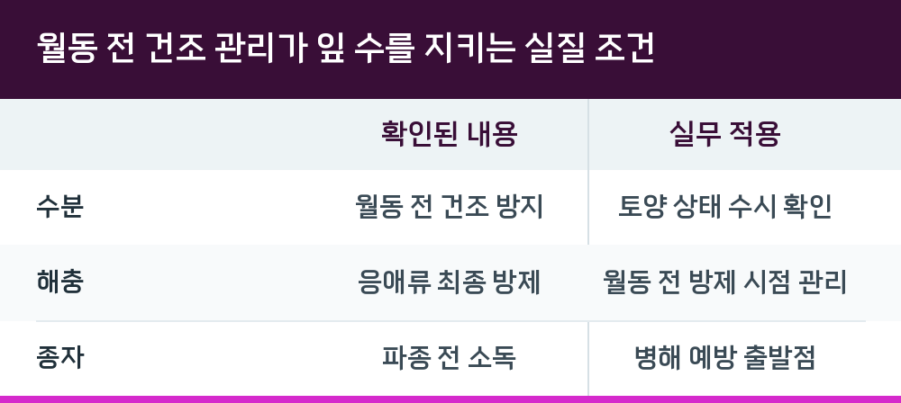 월동 전 건조 관리가 잎 수를 지키는 실질 조건