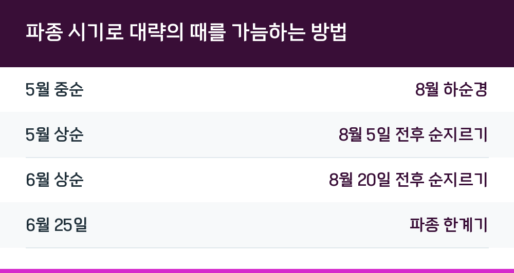 파종 시기로 대략의 때를 가늠하는 방법