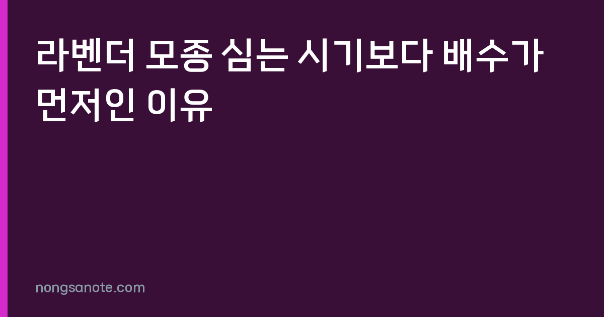 라벤더 모종 심는 시기보다 배수가 먼저인 이유