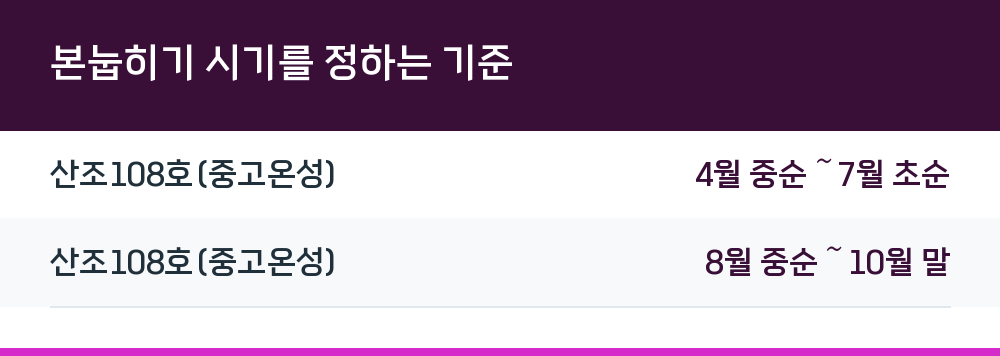 본눕히기 시기를 정하는 기준