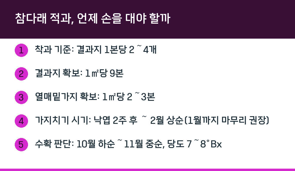 참다래 적과, 언제 손을 대야 할까