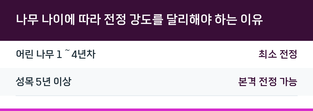 나무 나이에 따라 전정 강도를 달리해야 하는 이유
