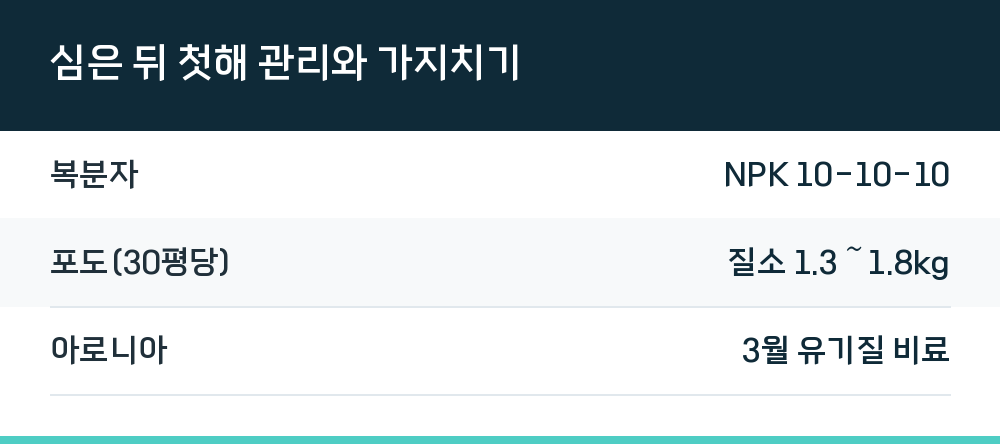 심은 뒤 첫해 관리와 가지치기