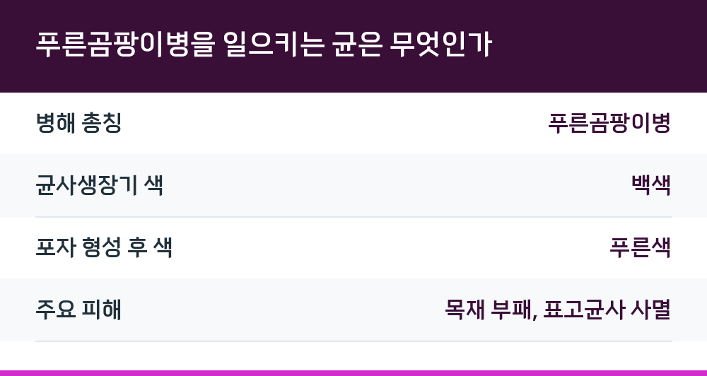 푸른곰팡이병을 일으키는 균은 무엇인가