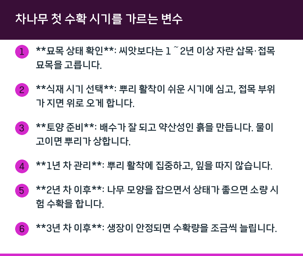 차나무 첫 수확 시기를 가르는 변수