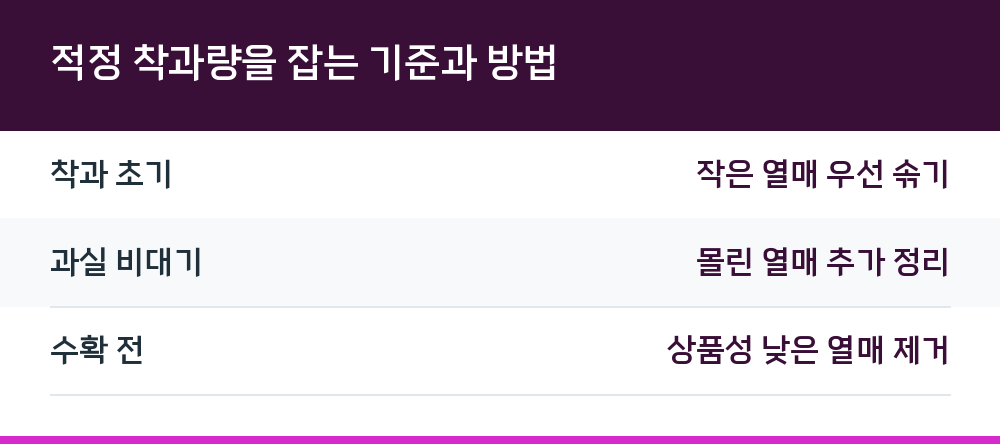 적정 착과량을 잡는 기준과 방법