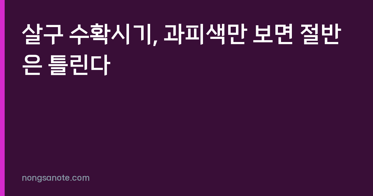 살구 수확시기, 과피색만 보면 절반은 틀린다