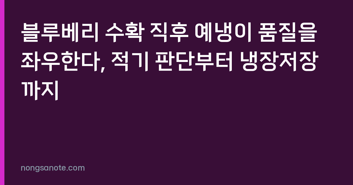 블루베리 수확 직후 예냉이 품질을 좌우한다, 적기 판단부터 냉장저장까지